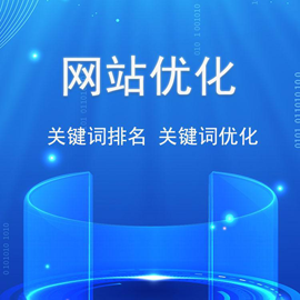 海口seo排名网站优化